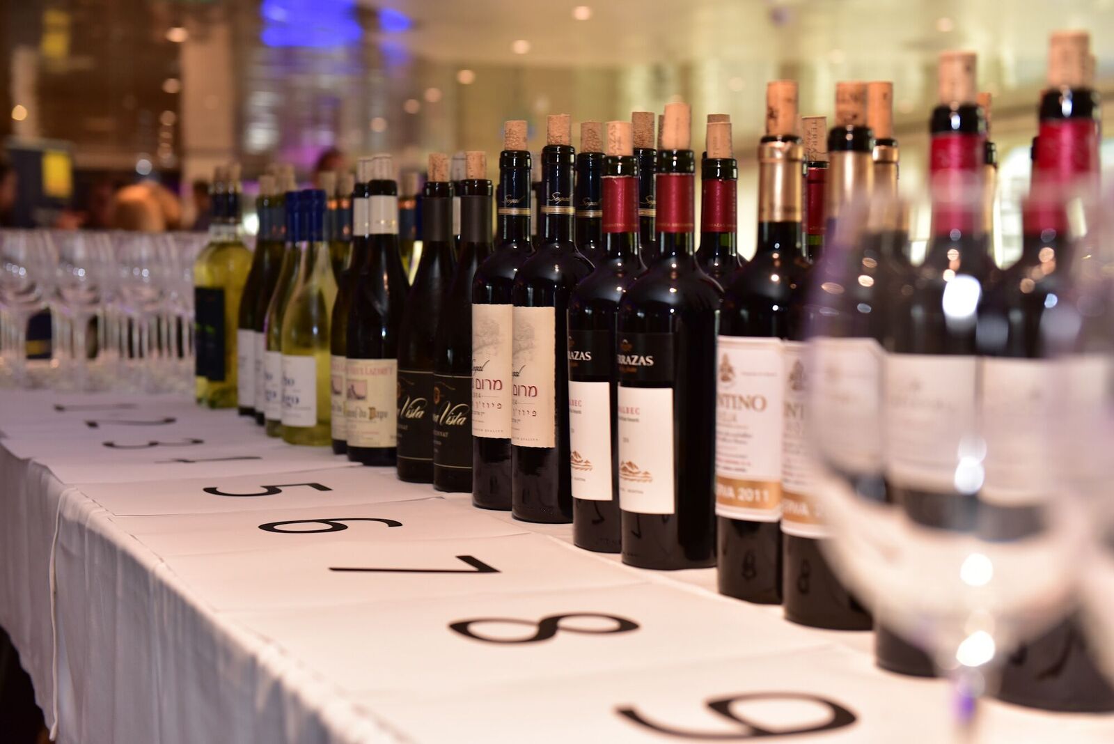 Wine Tasting Photo 2